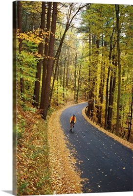 A biker on road amidst the fall foliage.; Vermont.