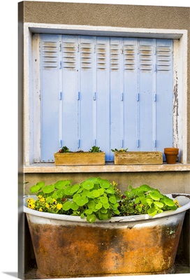 A closed window and flowers in an old bathtub in the town of Tournon-d'Agenais