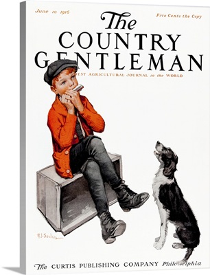 A dog howls as a young boy plays a harmonica
