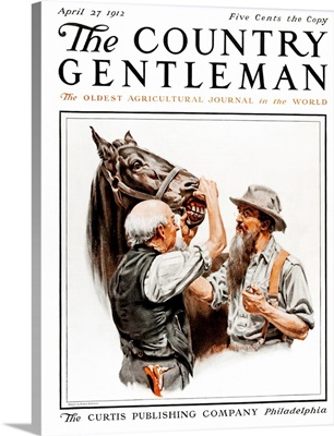 A man checks the teeth of a horse