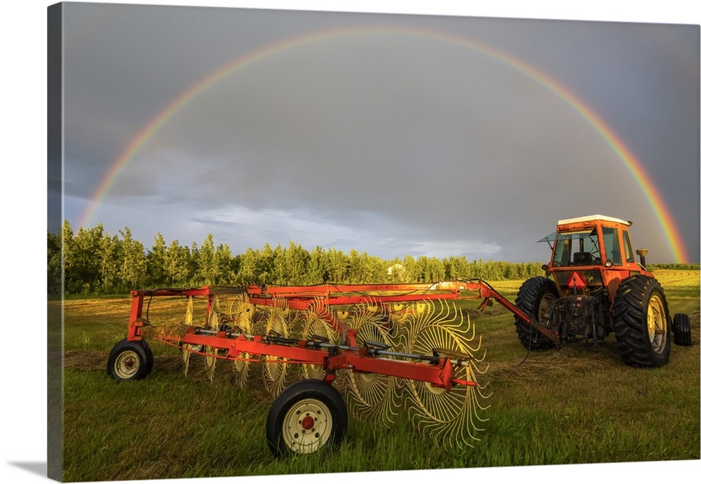 A rainbow appears in the sky over a tractor which has just raked a field of hay; Delta Junction, Alaska. United States of ...
