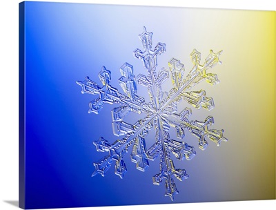 A real snowflake showing the classic 6-sided star shape