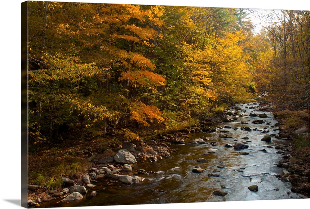 A stream flowing through an autumn-hued forest in the Great Smoky Mountains.