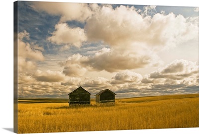 Abandoned Grain Bins, Saskatchewan, Canada