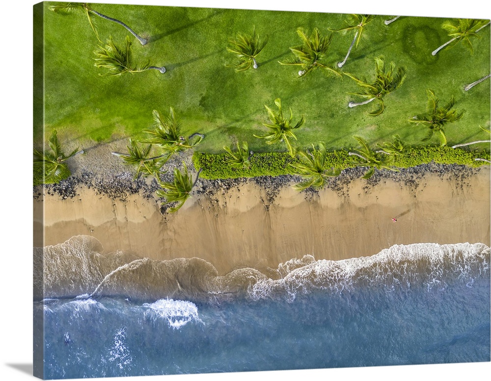 An aerial view of a woman (MR) walking on a beach beside palm trees in the late afternoon, West Maui, Hawaii, USA.