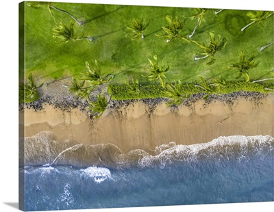 Aerial View Of Beach And Palm Trees