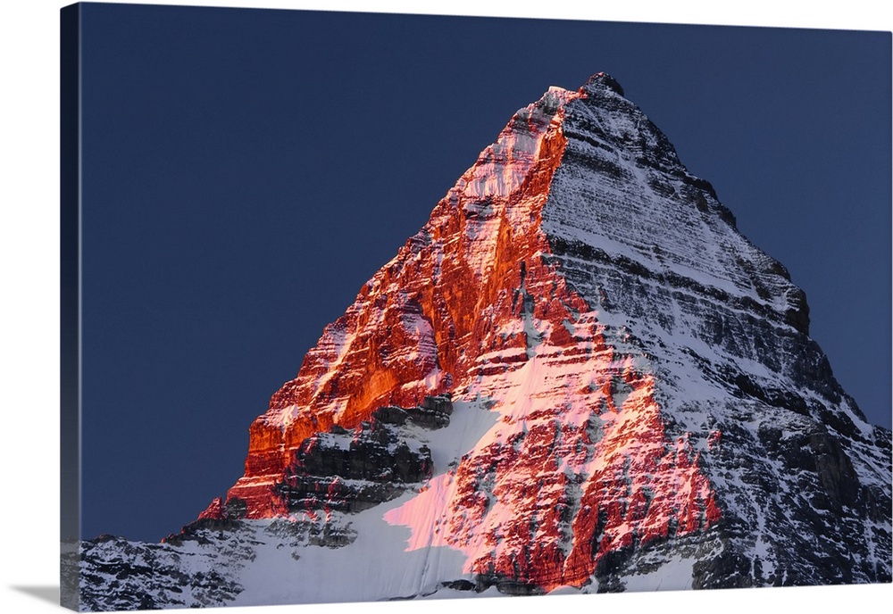 Alpenglow on Mount Assiniboine at sunrise, Mount Assiniboine Provincial Park, British Columbia, Canada