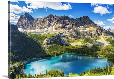 Alpine Lake, Yoho National Park, Field, British Columbia, Canada