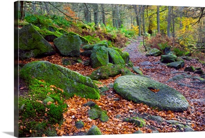 An Abandoned Millstone Along A Path In Peak District National Park; Derbyshire, England