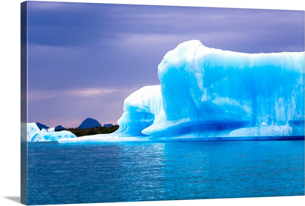 A vibrant blue iceberg floats in Bear Glacier Lagoon in Kenai Fjords National Park on an overcast day; Alaska, United Stat...