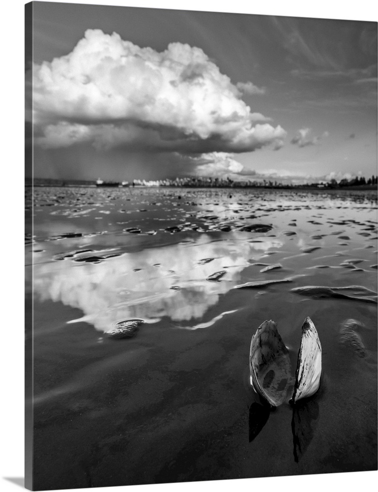 An open clam shell sits on the shore with cloud reflected on the wet sand. Vancouver, British Columbia, Canada.