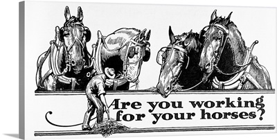 Are you working for your horses?
