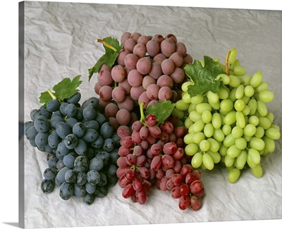Arrangement of four varieties of table grapes