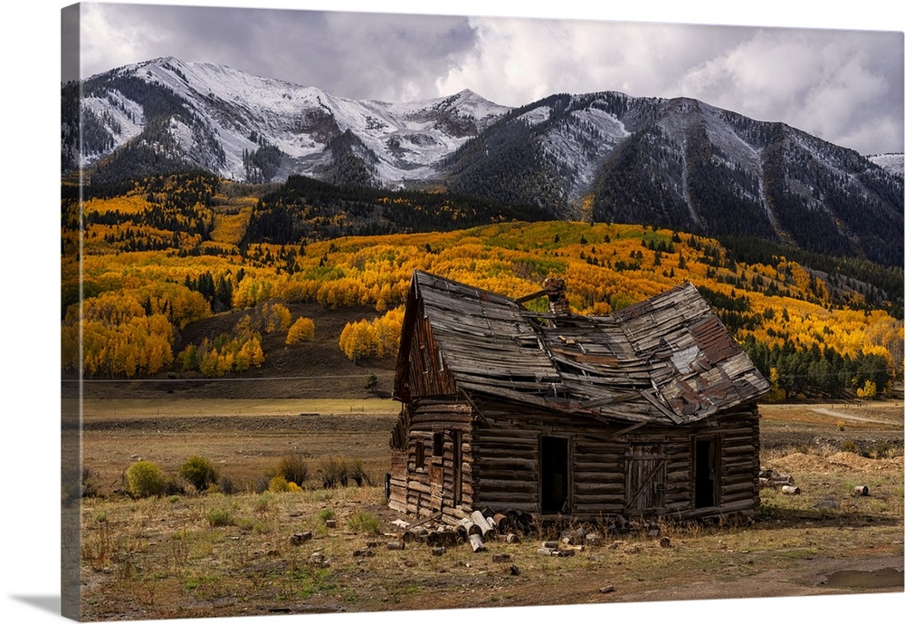 Aspen trees turn the color of an artist palette during autumn in Colorado. Color extends as far as the eye can see in one ...