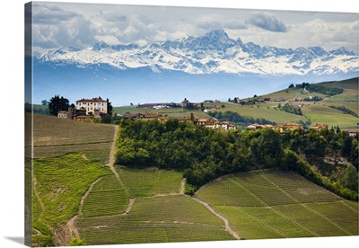 Asti Province, Piedmont, Italy