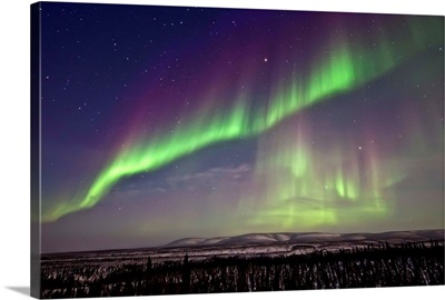 Aurora Borealis Or Northern Lights Over The Eagle Plains, Yukon, Canada
