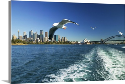 Australia, Sydney, View Of Sydney Harbor From Ferry