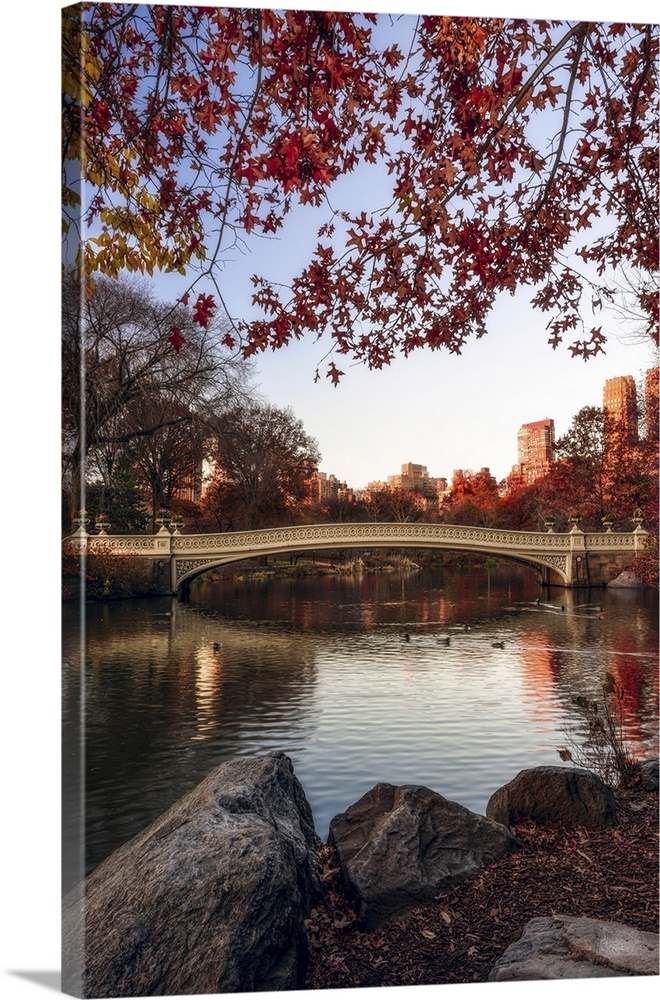 Autumn coloured foliage around Bow Bridge, Central Park, New York City, New York, United States of America