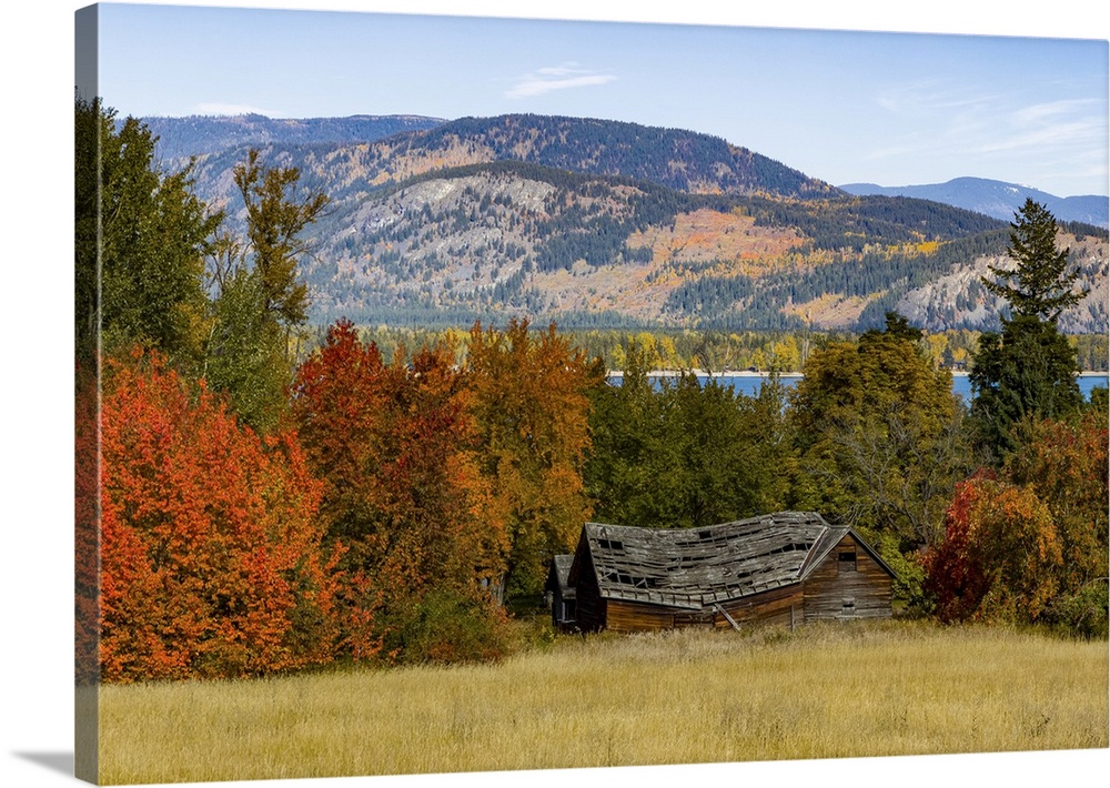 Autumn coloured foliage in the Okanagan Valley; British Columbia, Canada