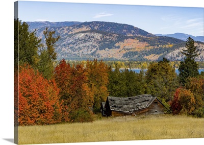 Autumn Colored Foliage In The Okanagan Valley, British Columbia, Canada