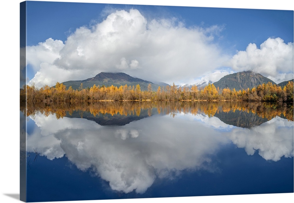Mirror image of an autumn coloured forest and the Coast mountains in Tongass National Forest; Alaska, United States of Ame...