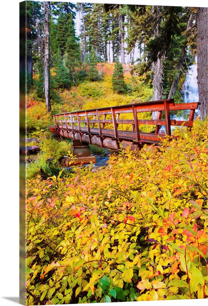 Autumn Colours Add Beauty To Umbrella Falls, Oregon, USA