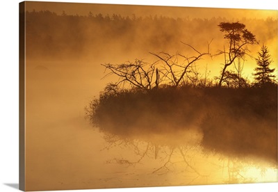 Autumn Morning Mist Glowing Yellow On Rocky Lake; Bedford, Nova Scotia, Canada