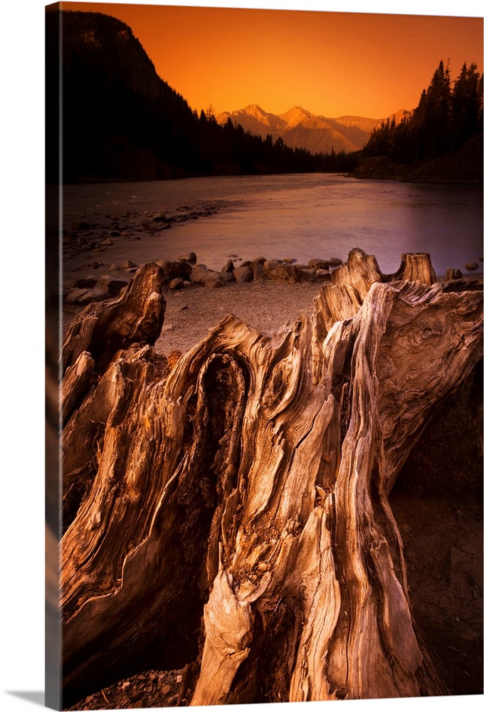 Banff, Alberta, Canada, Driftwood And A Mountain River At Sunset