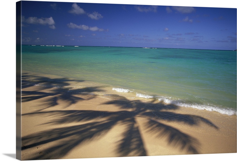 Large photo printed on canvas of the shadows of big palm trees.