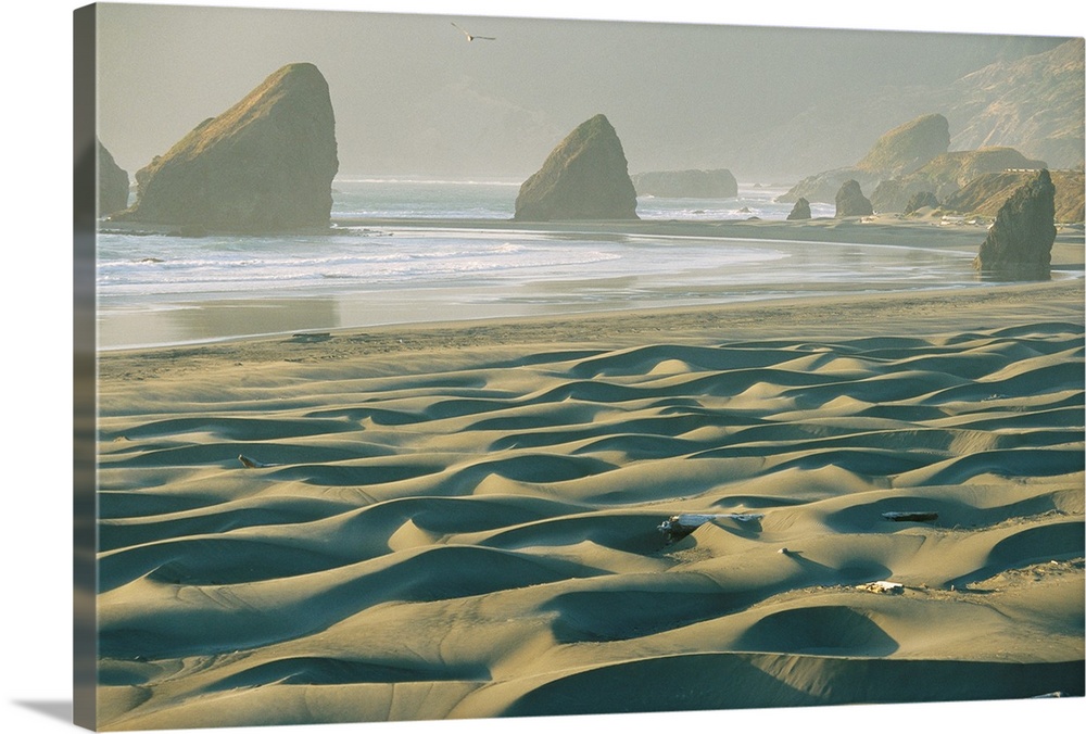 Beach with dunes and seastack rocks near Pistol River.; PISTOL RIVER