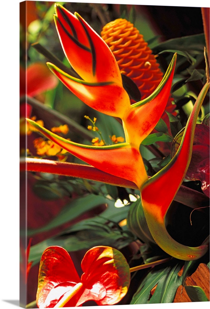 Beautiful Tropical Bouquet Flower Arrangement With Heliconia