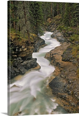 Beauty Creek, Banff National Park, Alberta, Canada
