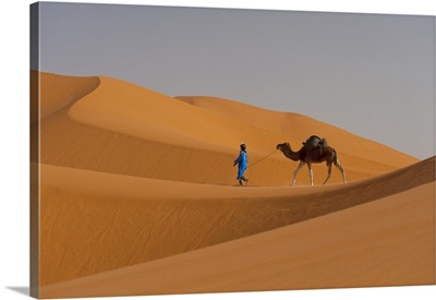 Berber Leading A Camel The Sahara; Merzouga, Morocco