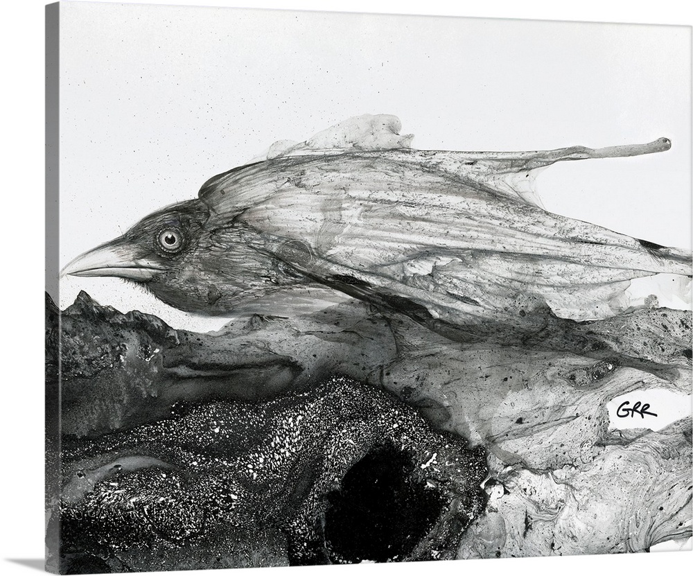 Black and white illustration of a bird.