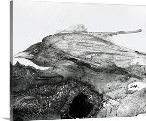 Black And White Illustration Of A Bird image thumbnail