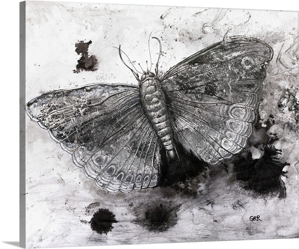 Black and white illustration of a butterfly.