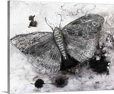 Black And White Illustration Of A Butterfly