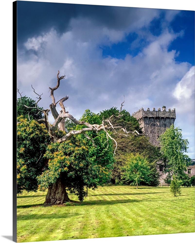 Blarney Castle, Co Cork, Ireland.