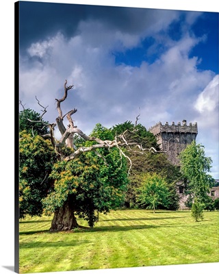 Blarney Castle, Co Cork, Ireland