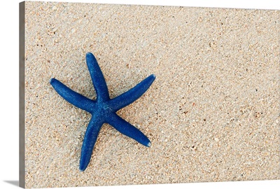Blue Starfish On A Sandy Beach