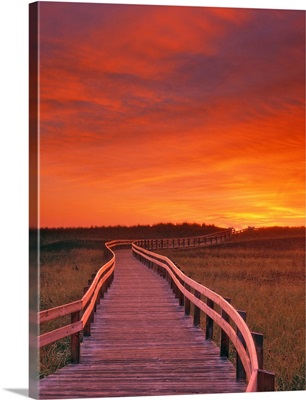 Boardwalk Along The Salt Marsh, New Brunswick, Canada