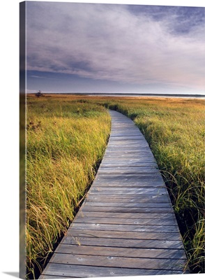 Boardwalk Along The Salt Marsh, New Brunswick, Canada