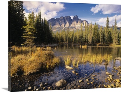 Bow River And Castle Mountain, Banff National Park, Alberta, Canada
