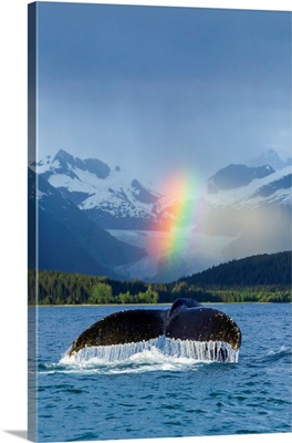 Bright Rainbow Over Eagle Beach With A Fluking Humpback Whale, Alaska