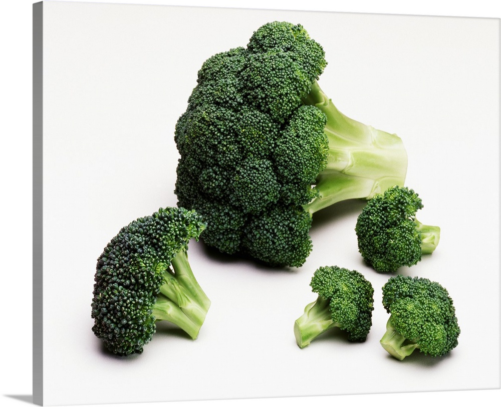 Broccoli crown, and large and small florets
