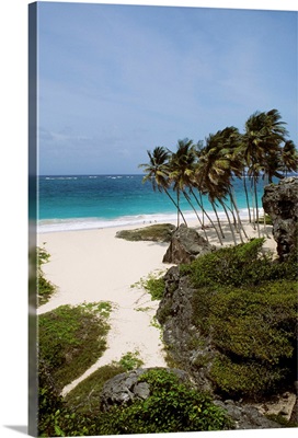 Caribbean, Barbados, Bottom Bay, Landscape Of Tropical White Sand