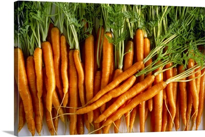 Carrots with their tops