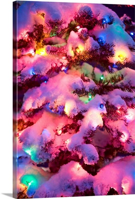 Close up of a multi colored Christmas tree lit at dusk outside in winter