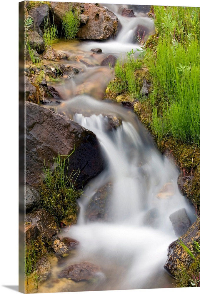 Vertical canvas print of a stream washing down a hill through rocks.