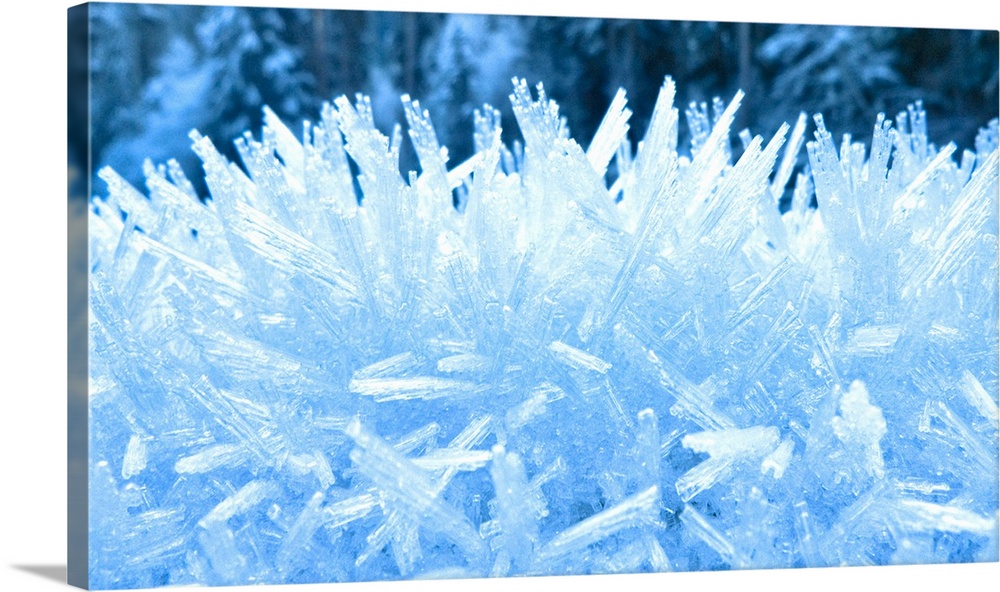 Close up of hoar frost along the North Fork of the Nooksak River during Winter, Mount Baker National Forest, Washington, USA
